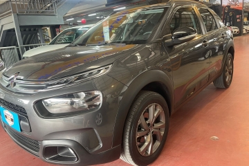  C4 CACTUS 